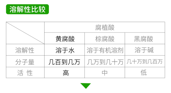 ׃聊城癑־生物技术有限公?_11.jpg