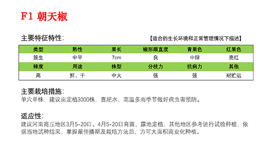 北京春奥-火焰山朝天椒品种介_01.jpg